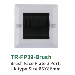 Brush Face Plate 2 Port,UK type,Size:86X86mm