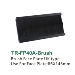 Brush Face Plate UK type,Use For Face Plate:86X146mm