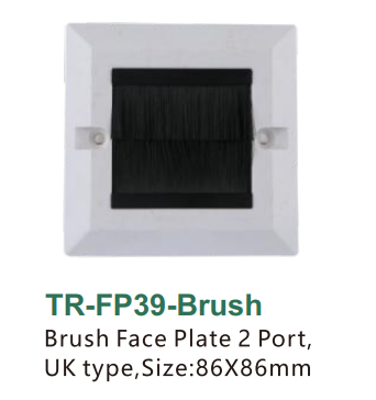 Brush Face Plate 2 Port,UK type,Size:86X86mm