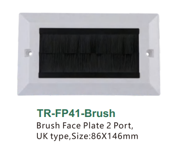 Brush Face Plate 2 Port,UK type,Size:86X146mm