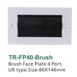 Brush Face Plate 4 Port,UK type,Size:86X146mm