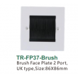 Brush Face Plate 2 Port,UK type,Size:86X146mm