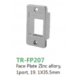 Face Plate ZInc allory,  1port, 19. 1X35.5mm